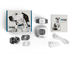 Tagg Tracker Promo Bundle